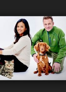 Cats v Dogs: Which is Best? poster