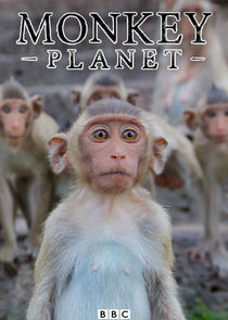 Monkey Planet poster
