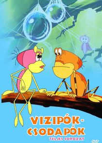 Vízipók-csodapók poster