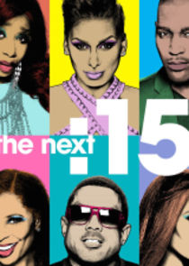 The Next :15 poster