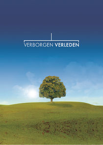 Verborgen verleden poster