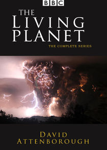 The Living Planet poster