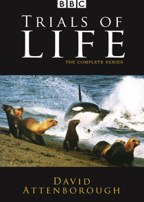 The Trials of Life: A Natural History of Behaviour poster