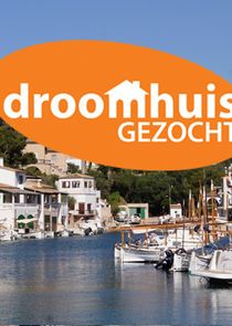 Droomhuis gezocht poster