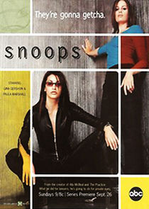 Snoops poster
