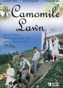 The Camomile Lawn poster