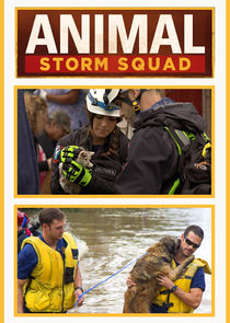 Animal Storm Squad poster