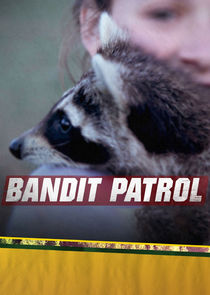 Bandit Patrol poster
