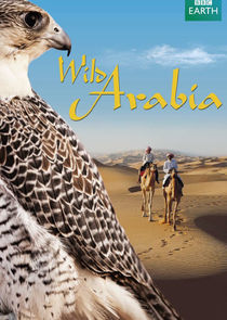 Wild Arabia poster