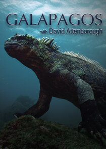 Galapagos with David Attenborough poster