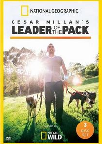 Cesar Millan's Leader of the Pack poster