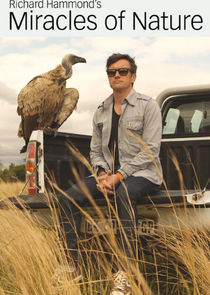 Richard Hammond's Miracles of Nature poster