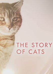 The Story of Cats poster