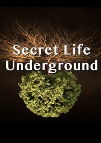 Secret Life Underground poster