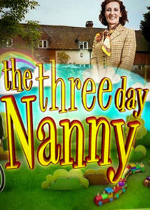 The Three Day Nanny poster
