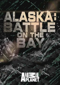 Alaska: Battle on the Bay poster
