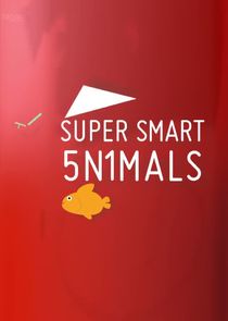 Super Smart Animals poster