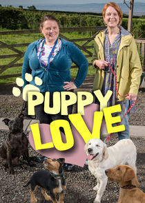 Puppy Love poster