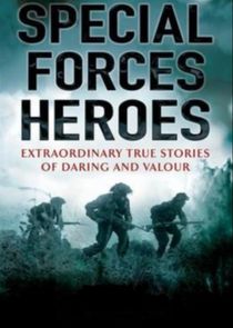 Special Forces Heroes poster