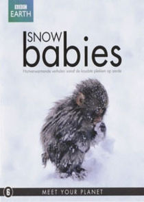 Snow Babies poster