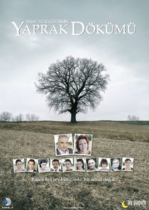 Yaprak Dökümü poster