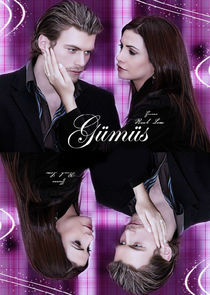 Gümüş poster