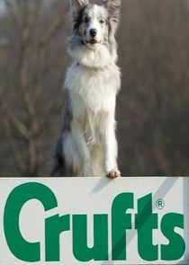 Crufts poster