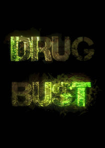 Drug Bust poster