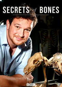 Secrets of Bones poster