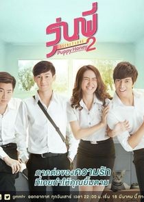 Senior Secret Love: Puppy Honey poster