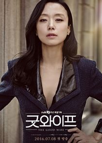 The Good Wife poster