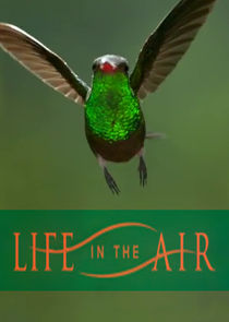 Life in the Air poster