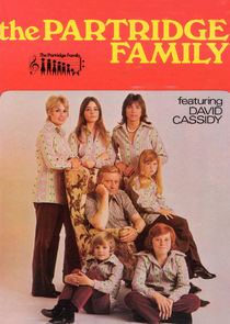 The Partridge Family poster