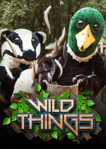 Wild Things poster