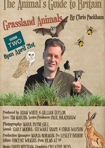 The Animal's Guide to Britain poster