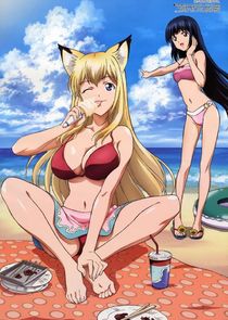 Wagaya no Oinari-sama poster