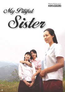TV Novel: Big Sister poster