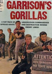 Garrison's Gorillas poster
