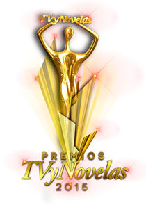 Camino a Premios TV y Novelas poster