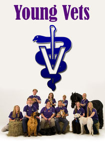 Young Vets poster