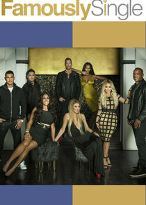 Famously Single poster