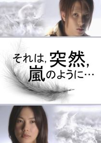 It Was Sudden, Like a Storm... poster