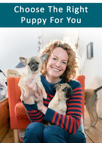 Choose the Right Puppy for You poster