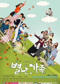 The Unusual Family poster