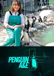 Penguin A&E with Lorraine Kelly poster