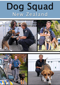 Dog Squad poster