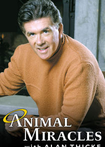 Animal Miracles poster