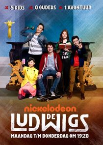 De Ludwigs poster