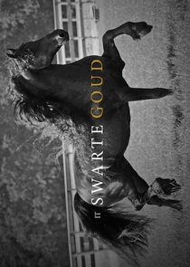 It Swarte Goud poster