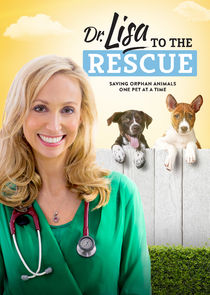 Dr. Lisa to the Rescue poster